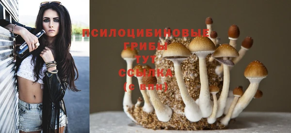 прущая мука Арсеньев